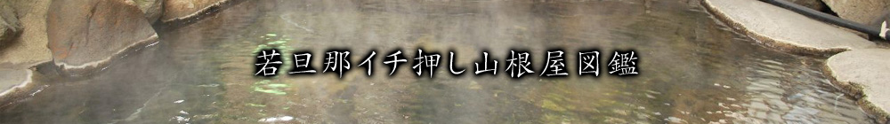 若旦那イチ押し山根屋図鑑